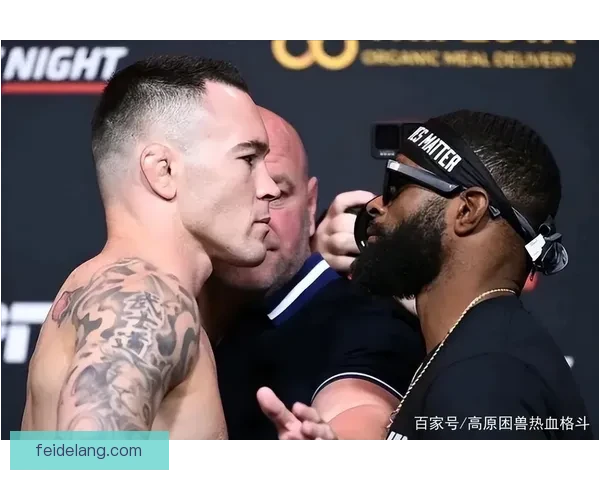 UFC巅峰对决温顿迎战菲多力量与技术的终极较量历史舞台上的荣耀之战